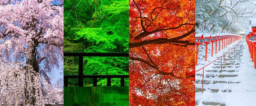The Four Seasons in Kyoto